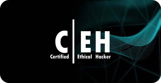 certified-ethical-hacker-v13-e-courseware-exam-voucher-onsiteilabsexam-retake-1ethical-hacking-videoceh-engageglobal-ceh-challengeceh-practical
