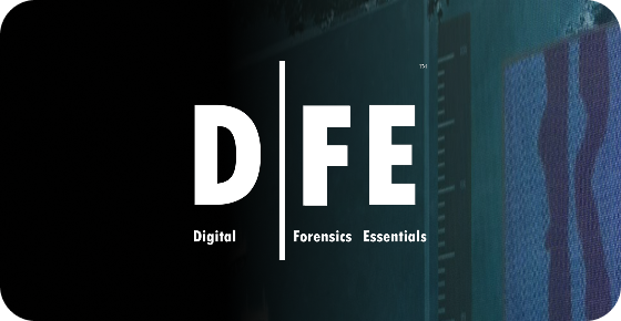 digital-forensics-essentials-dfe-version-2-ilearn-kit
