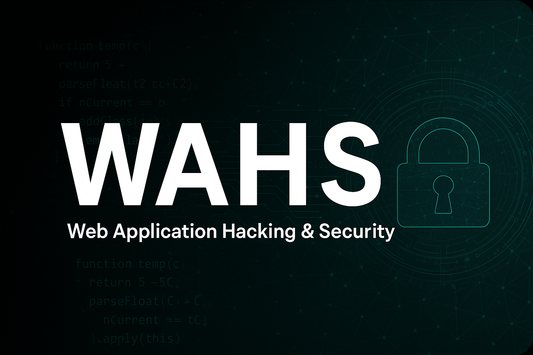 web-application-hacking